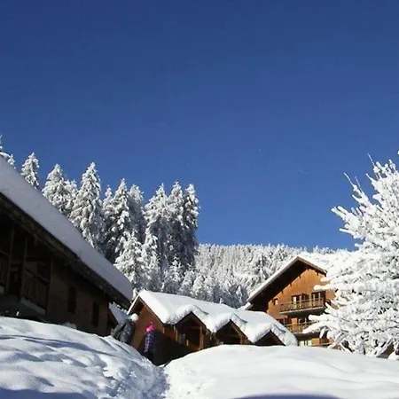 Parc Aux Etoiles - A101pae - Appt T3 Avec Balcon - 4/6 Pers Mae-0064 Narreyroux